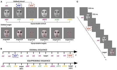 The Predictive Role of Low Spatial Frequencies in Automatic Face Processing: A Visual Mismatch Negativity Investigation